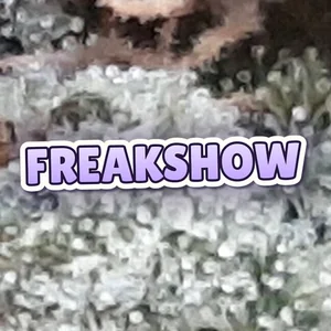 Freakshow Cannabis Strain