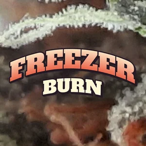 Freezer Burn Cannabis Strain