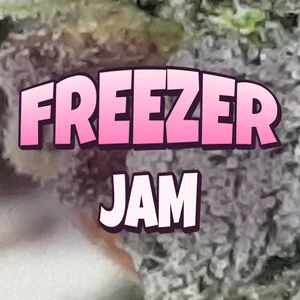 Freezer Jam Cannabis Strain