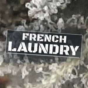 French Laundry Cannabis Strain