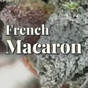 French Macaron Cannabis Strain