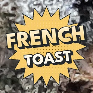 French Toast Cannabis Strain