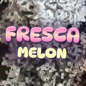 Fresca Melon Cannabis Strain