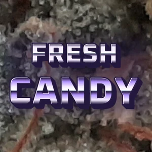 Fresh Candy Cannabis Strain