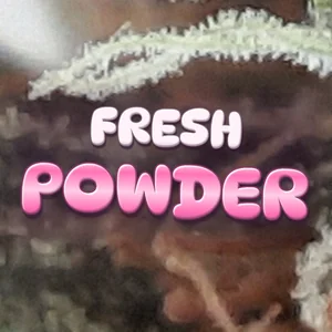 Fresh Powder Cannabis Strain