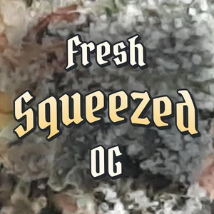 Fresh Squeezed OG Cannabis Strain