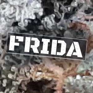 Frida Cannabis Strain