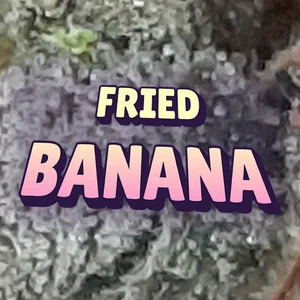 Fried Banana Cannabis Strain