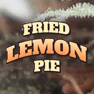 Fried Lemon Pie Cannabis Strain