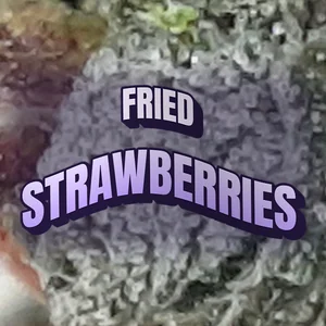 Fried Strawberries Cannabis Strain