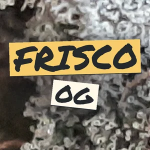 Frisco OG Cannabis Strain
