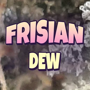 Frisian Dew Cannabis Strain