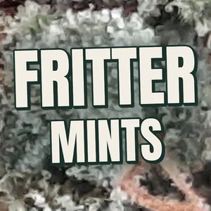 Fritter Mints Cannabis Strain