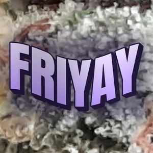 Friyay Cannabis Strain