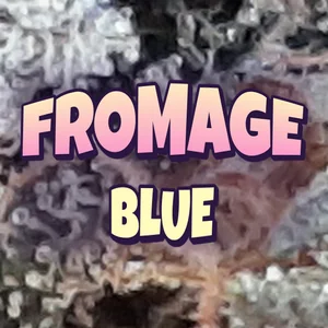 Fromage Blue Cannabis Strain