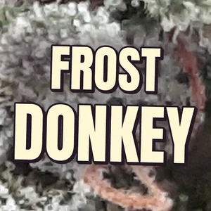 Frost Donkey Cannabis Strain