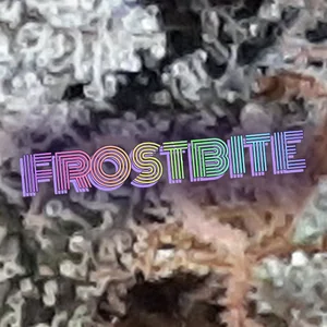 Frostbite Cannabis Strain