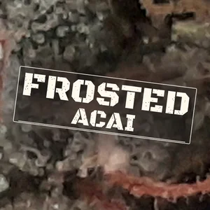 Frosted Acai Cannabis Strain