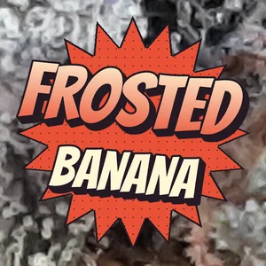 Frosted Banana Cannabis Strain