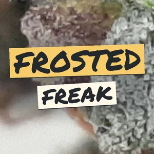 Frosted Freak Cannabis Strain