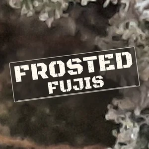 Frosted Fujis Cannabis Strain