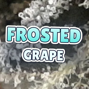 Frosted Grape Cannabis Strain