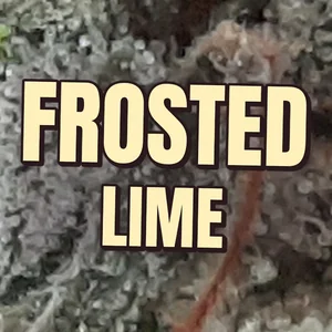 Frosted Lime Cannabis Strain