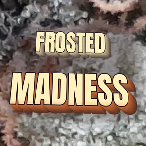 Frosted Madness Cannabis Strain
