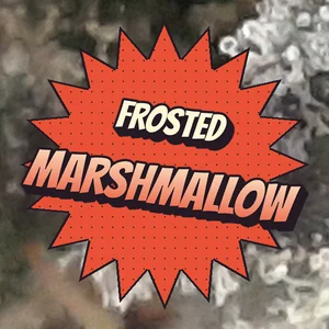 Frosted Marshmallow Cannabis Strain