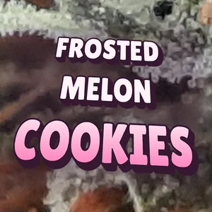 Frosted Melon Cookies Cannabis Strain