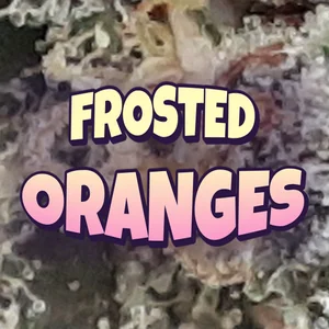 Frosted Oranges Cannabis Strain