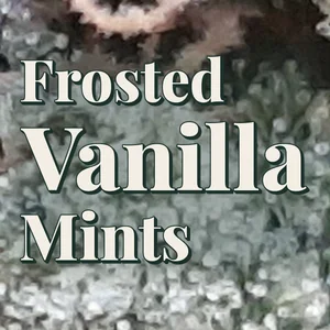Frosted Vanilla Mints Cannabis Strain