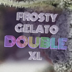 Frosty Gelato Double XL Cannabis Strain