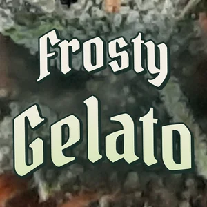 Frosty Gelato Cannabis Strain