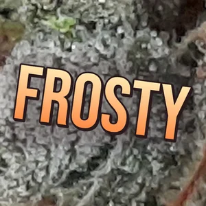 Frosty Cannabis Strain