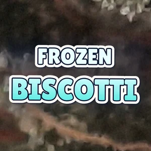 Frozen Biscotti Cannabis Strain