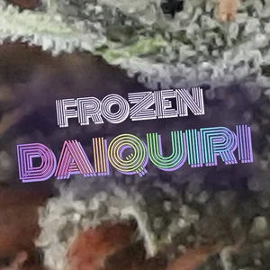 Frozen Daiquiri Cannabis Strain