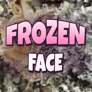 Frozen Face Cannabis Strain