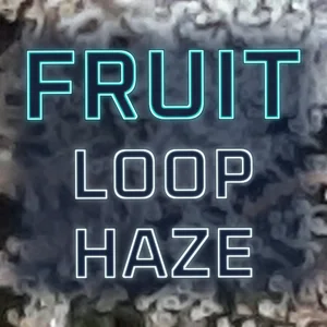 Fruit Loop Haze Cannabis Strain