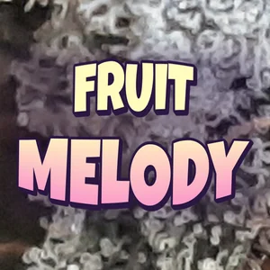 Fruit Melody Cannabis Strain