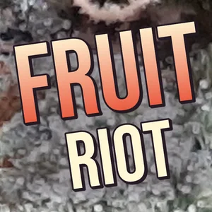 Fruit Riot Cannabis Strain