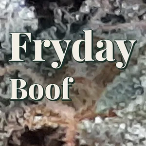 Fryday Boof Cannabis Strain