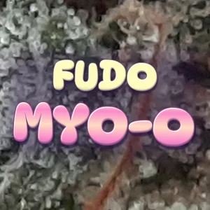 Fudo Myo-o Cannabis Strain
