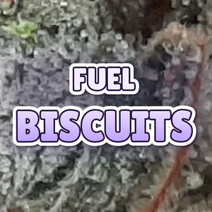 Fuel Biscuits Cannabis Strain