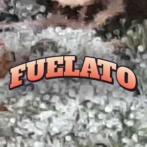 Fuelato Cannabis Strain