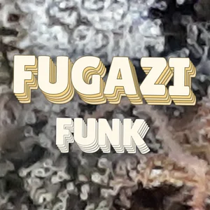 Fugazi Funk Cannabis Strain