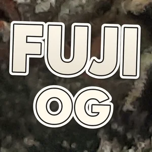 Fuji OG Cannabis Strain