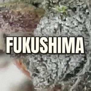 Fukushima Cannabis Strain