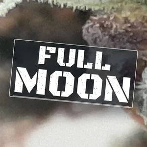 Full Moon Cannabis Strain