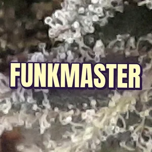 Funkmaster Cannabis Strain